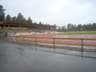 Harjun stadion