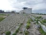 Stadion Chernomorets