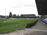 Moss Rose Ground