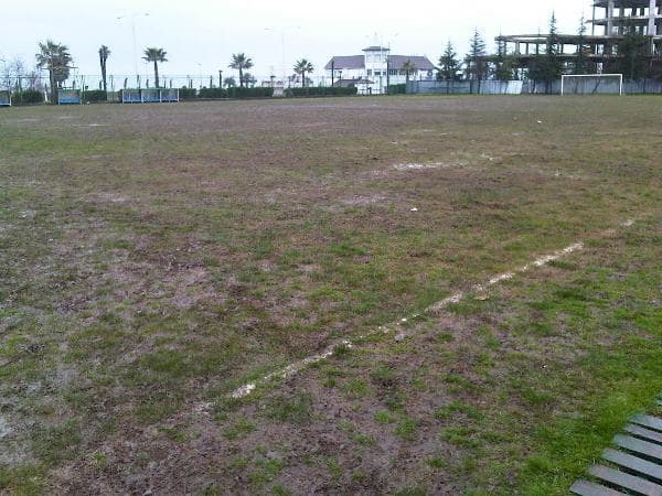 Adelis Stadioni