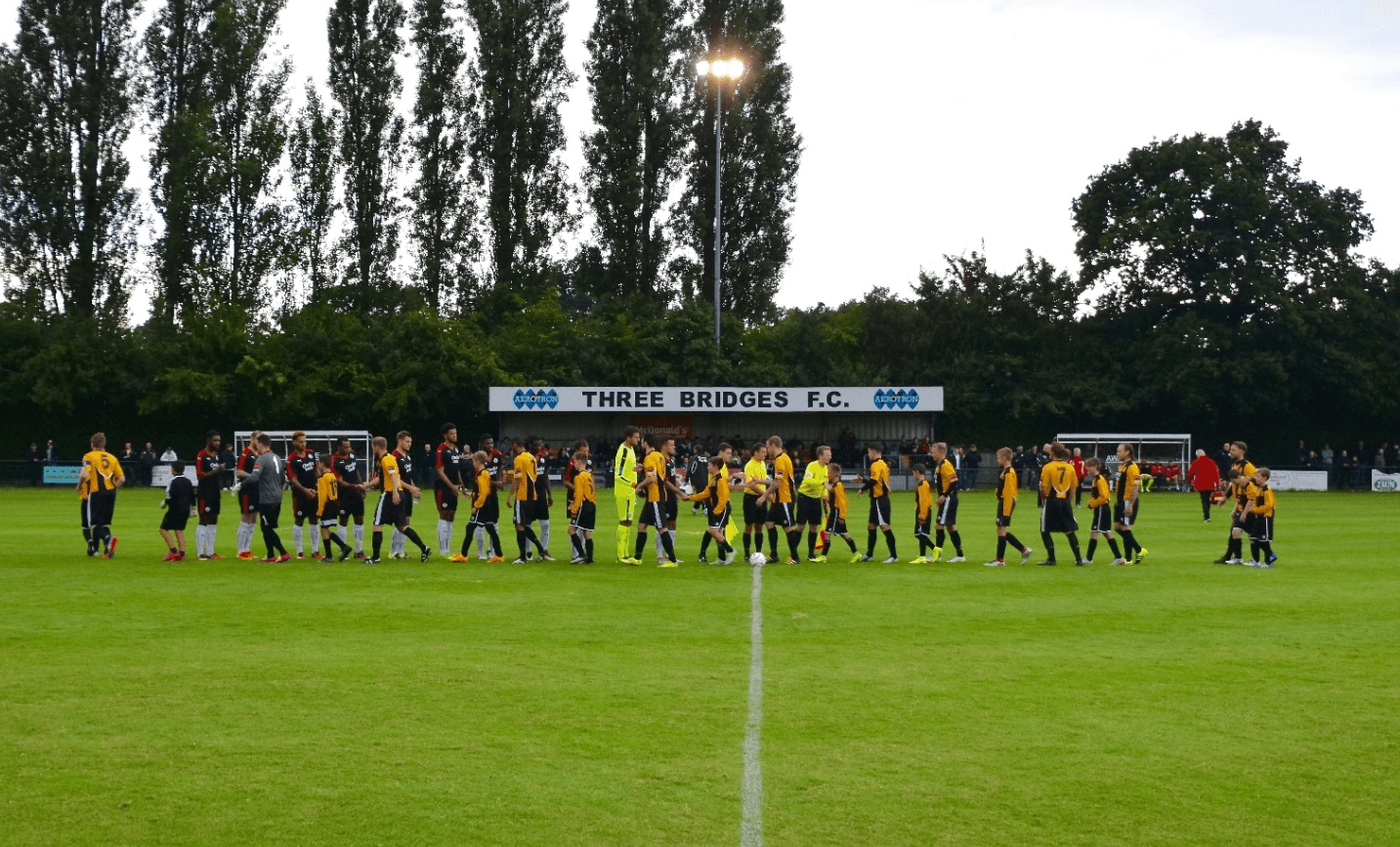 Jubilee Field (Crawley)