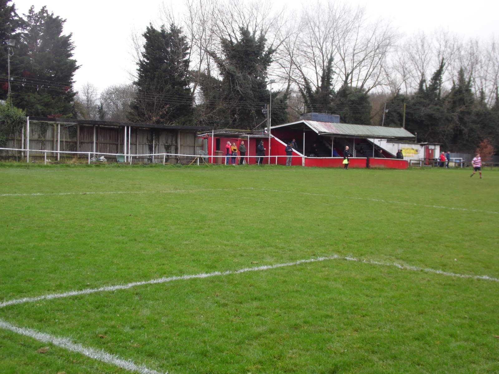 Wested Meadow