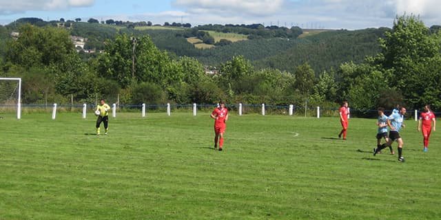 Bush Park