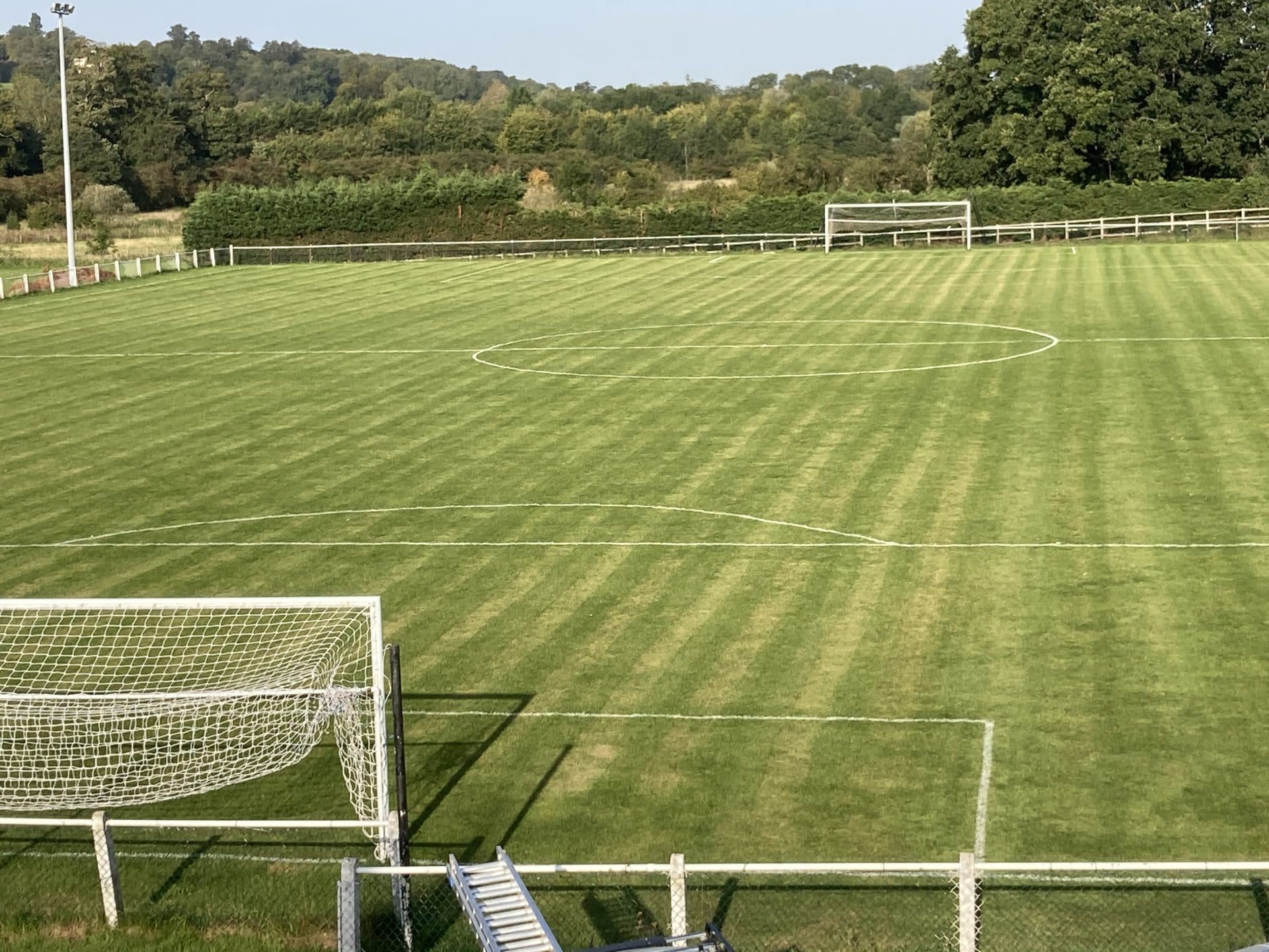 Spratleys Meadow