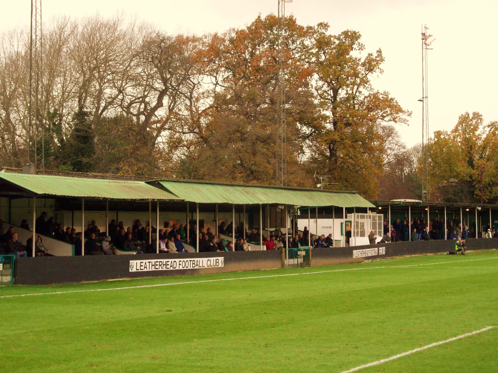 Fetcham Grove
