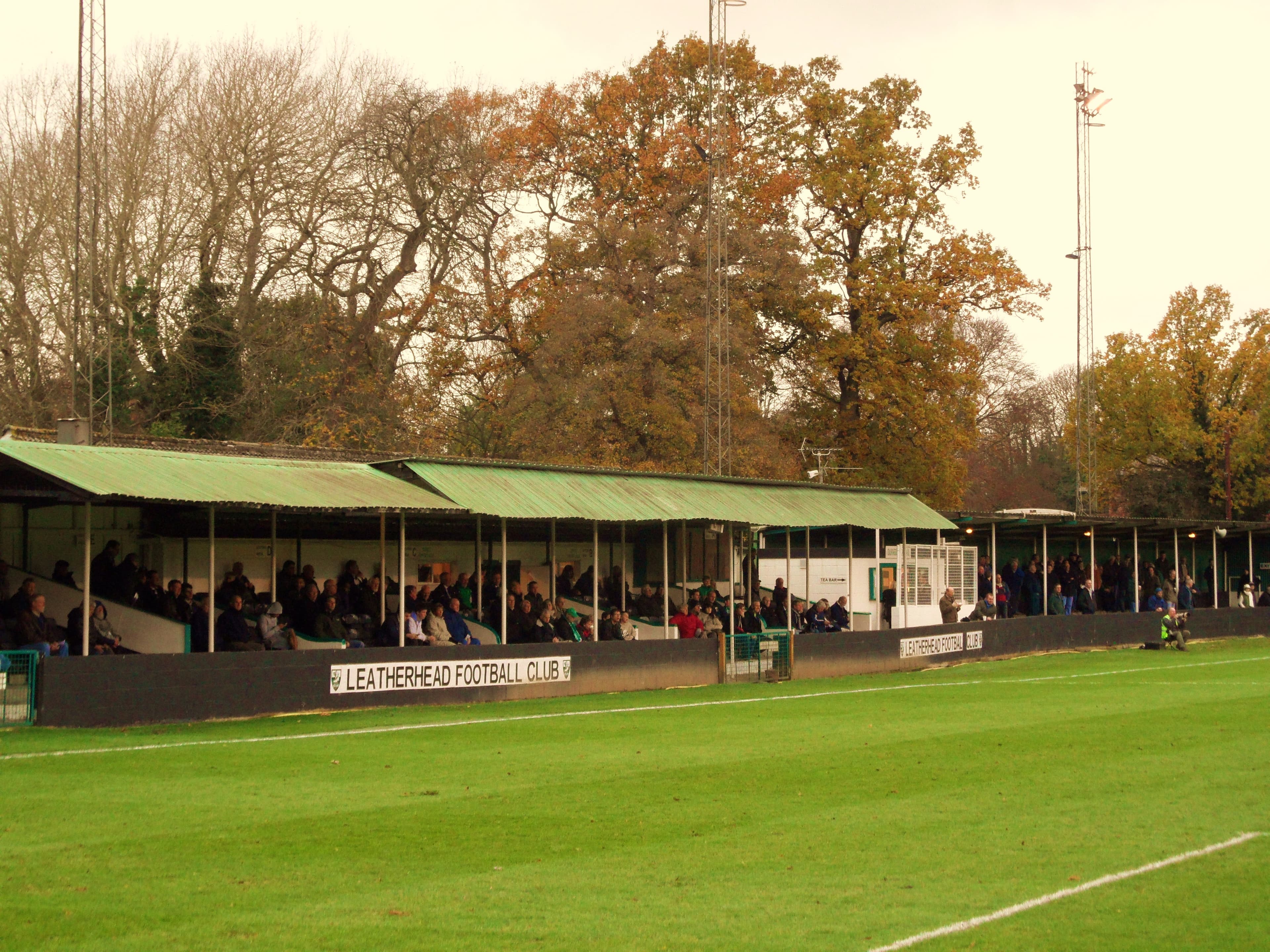 Fetcham Grove