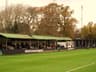 Fetcham Grove