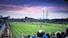 Plough Lane