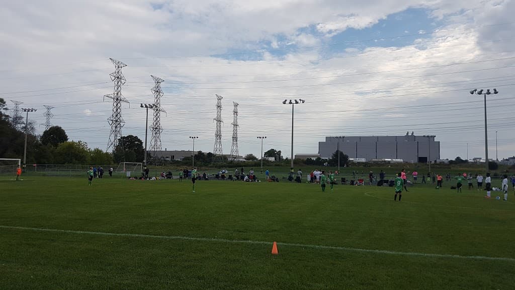 Kinsmen Park Large Turf Pickering