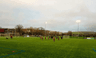 The Dripping Pan