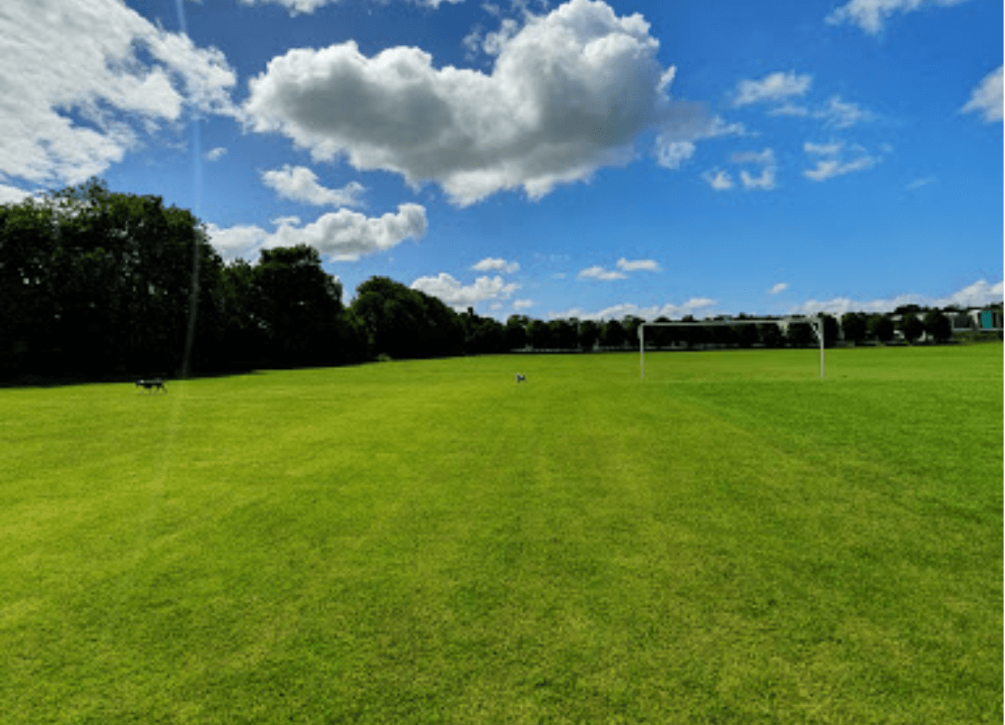 UCC Sportsground Curaheen