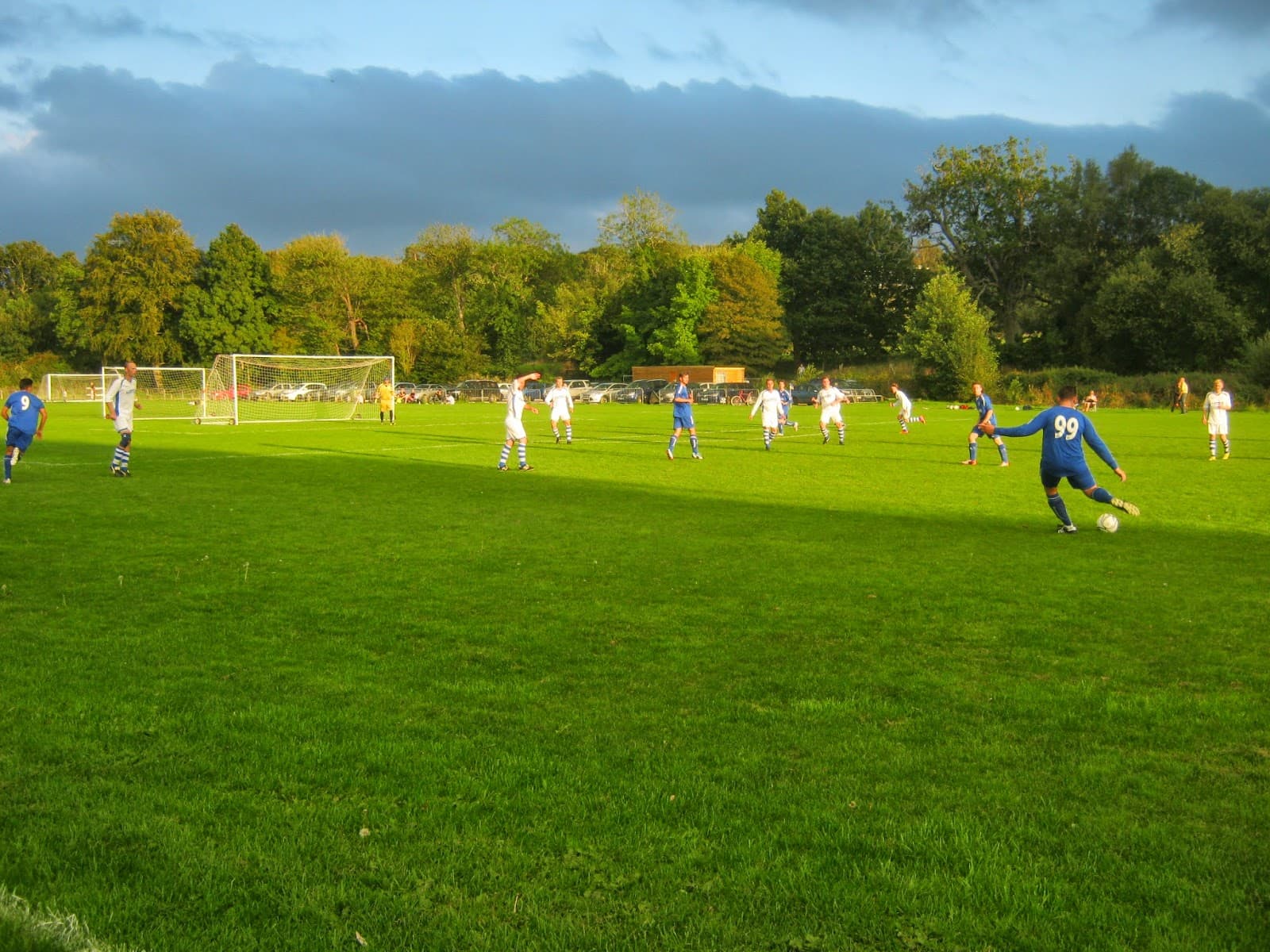 Oaklands Park