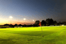 Eden Park Avenue