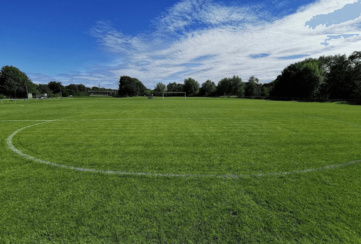 Roe Plas Meadows