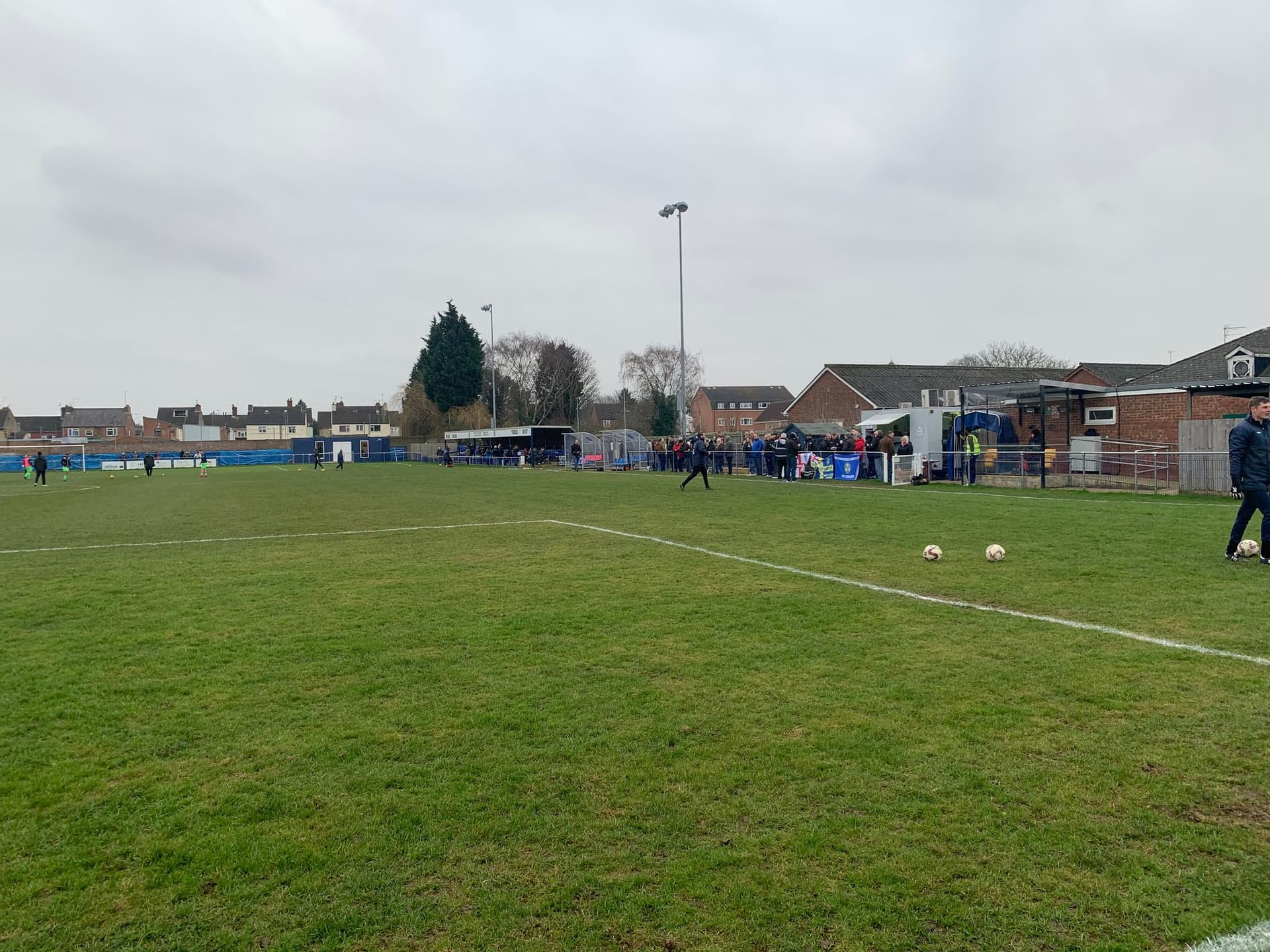 The Bee Arena