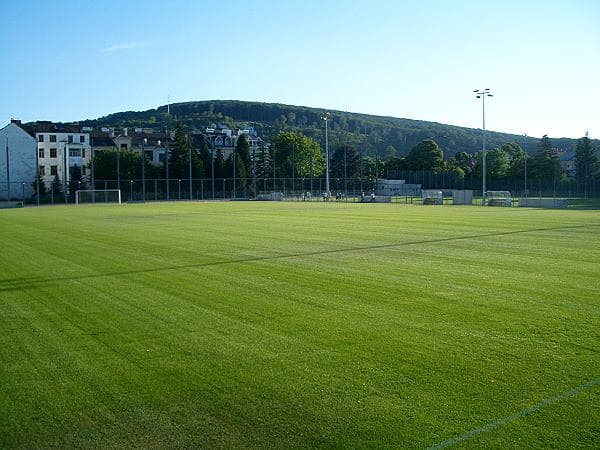 Trainingsgelände Allianz Stadion