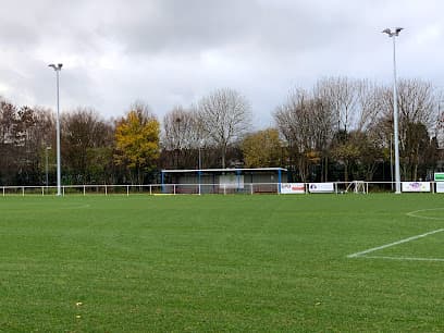 Hollyhedge Community Stadium