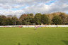 Chichester City