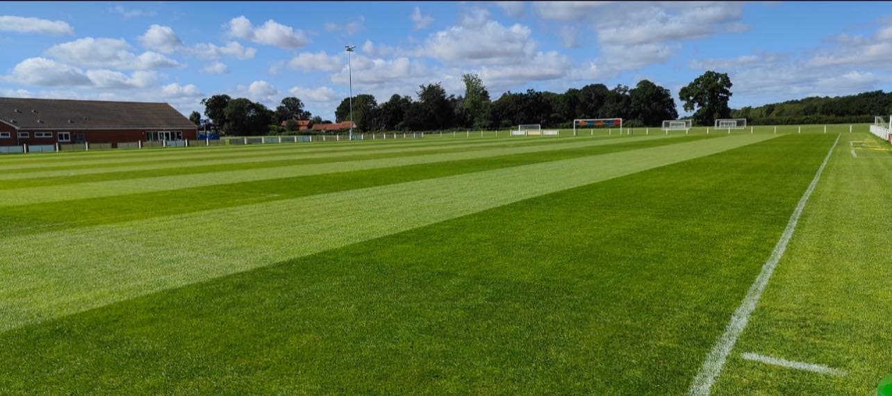 Youngs Park