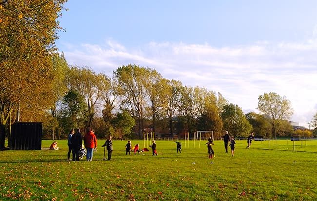Tremorfa Park