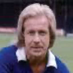 Alan Birchenall