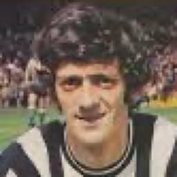 Terry Hibbitt