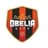 Obelya city