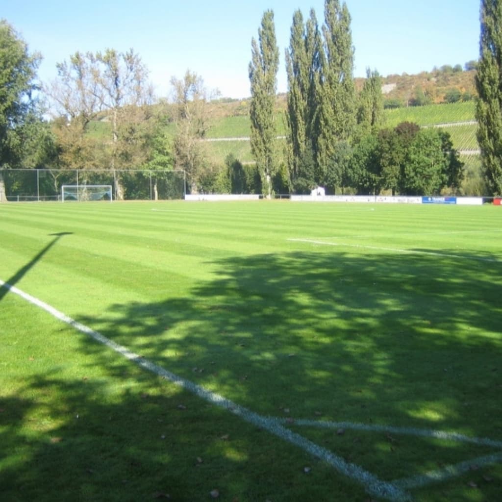 1.FC Winterhausen 1921 