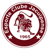 Jacuipense