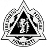 Petrocub Hincesti