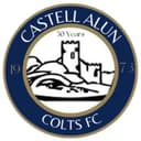 Castell Alun Colts 