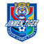 Tianjin Jinmen Tiger