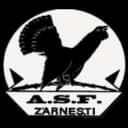 Olimpic Zărneşti