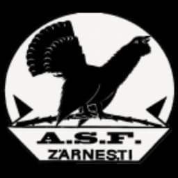 Olimpic Zărneşti