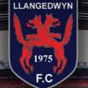 Llangedwyn