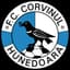 Corvinul Hunedoara