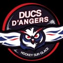 Ducs d'Angers