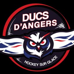 Ducs d'Angers