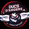 Ducs d'Angers