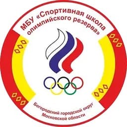 SShOR Noginsk