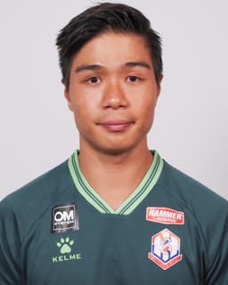 N. S. Ngan