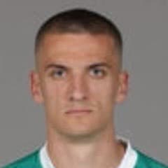 Nenad Cvetković