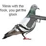 Pigeon Man
