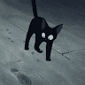 Tom