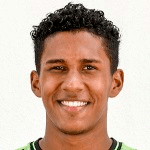Henrique Freitas Alves