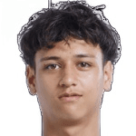Tiago Vermeulen