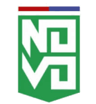 Novo Esporte Clube