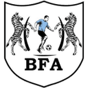 Black Lions
