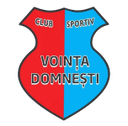 Domnesti IF