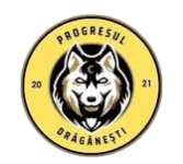 Progresul Draganesti
